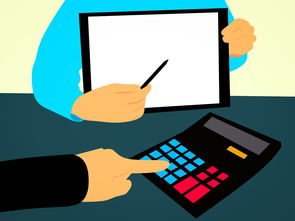 道法时政热点分析，法律视角下的当前社会议题