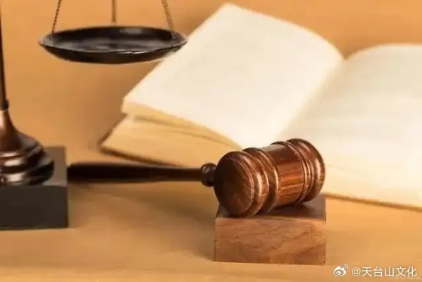 法律热点问题思考与建议,平衡法律与社会需求 法律热点问题思考与建议,平衡法律与社会需求