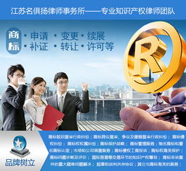 武汉维律律师事务所，法律服务的先锋与守护者