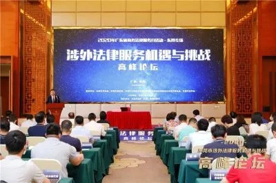 深入探讨当前热点法律问题,挑战与机遇 深入探讨当前热点法律问题,挑战与机遇