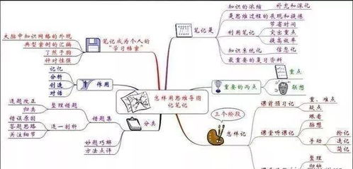 构建法律知识树,思维导图在法律学习中的应用 构建法律知识树,思维导图在法律学习中的应用